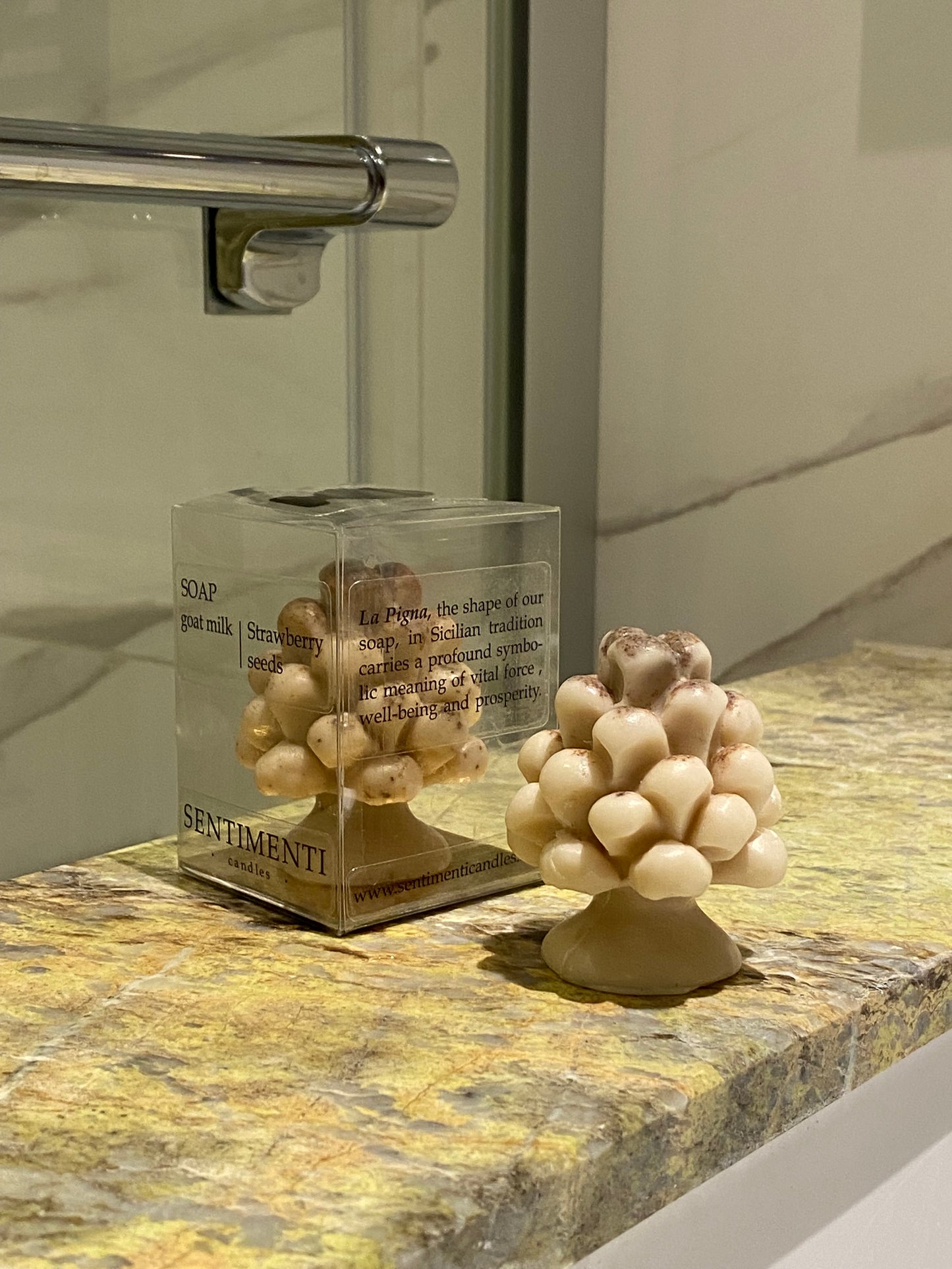 Gioia Soap | Goat milk & Strawberry seeds