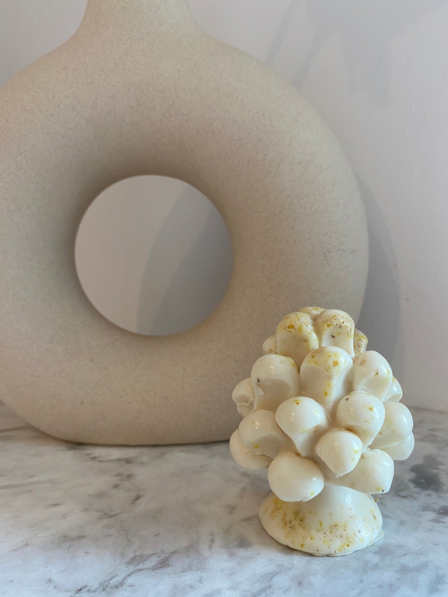 Sapone Gioia | Latte di Capra e Scorza di Limone