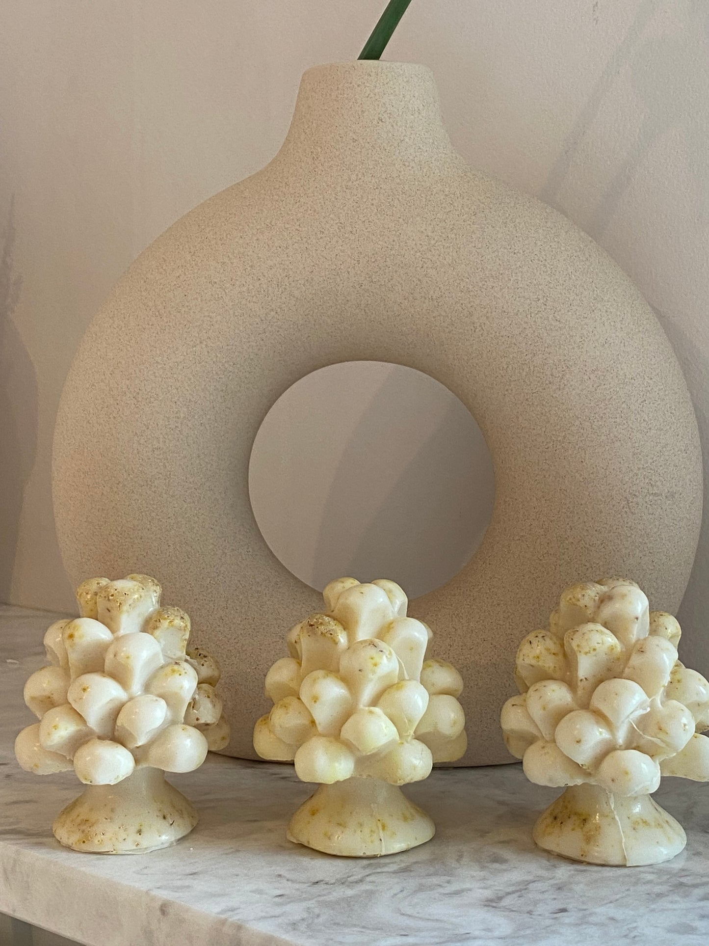 Sapone Gioia | Latte di Capra e Scorza di Limone