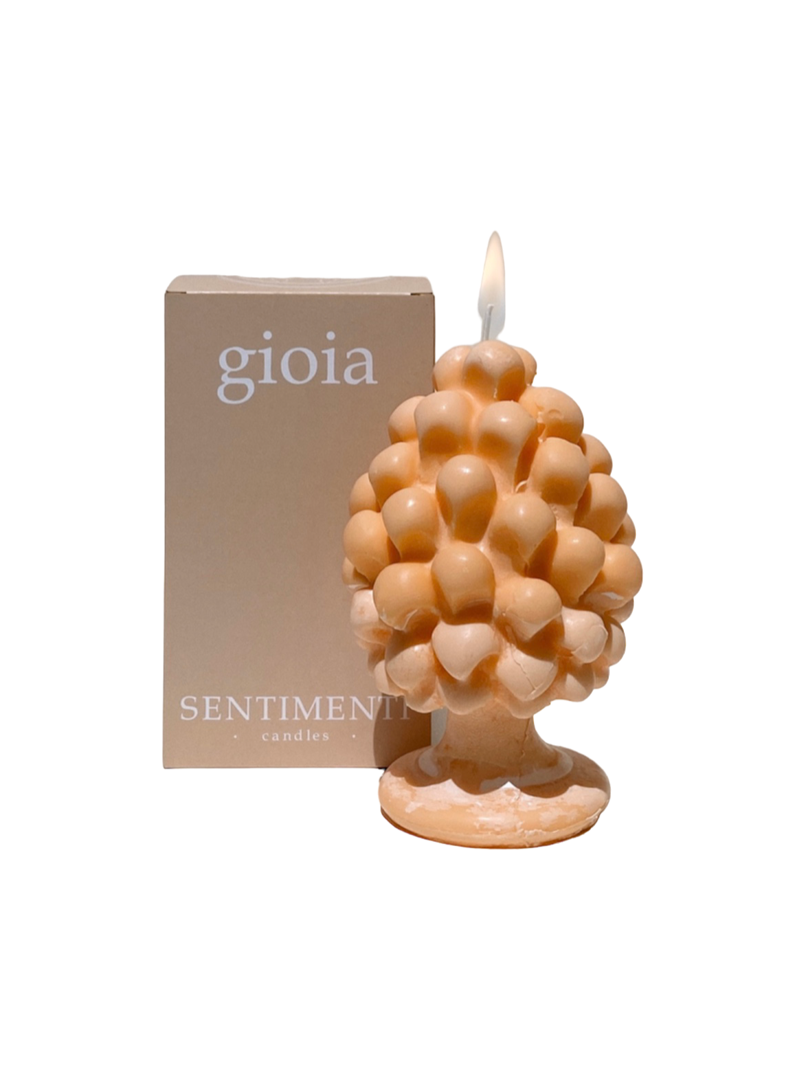 candela, Idea Regalo, regalo matrimonio , festa di benvenuto, festa di inaugurazione della casa , perfect gift for wedding birthday or housewarming party , candle shop, wabisabi style , decorative candle , Portafortuna , soy wax , cera di soia, deco ,